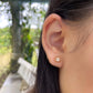 Wildflower Gold Studs